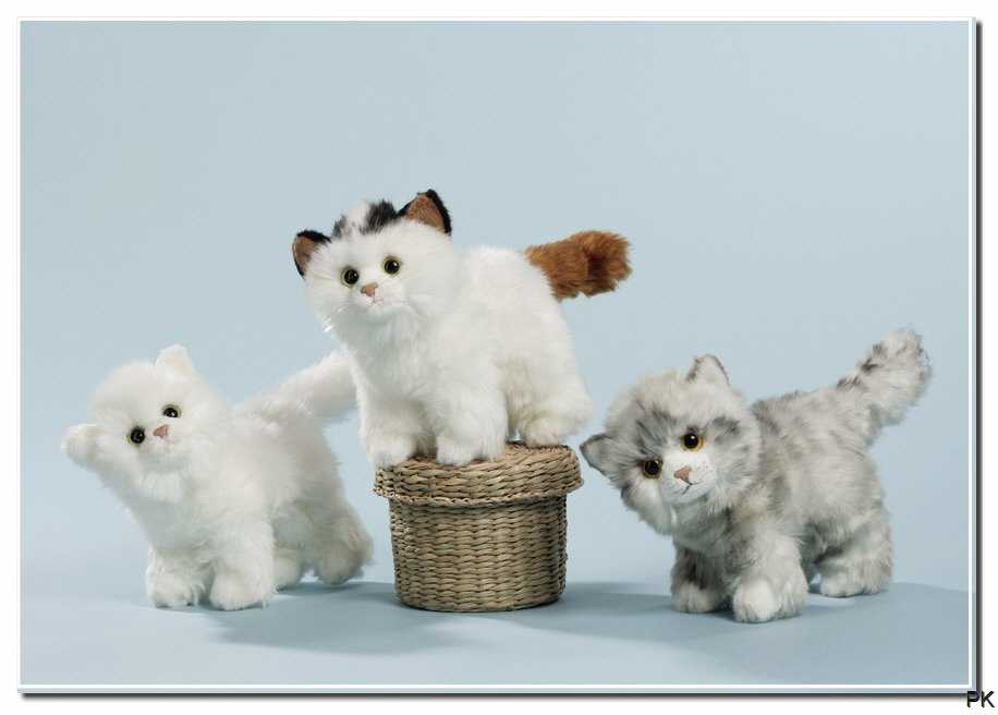  Foto zu Willkommen im Stofftier-Kaufhaus 