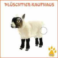 Hansa Toys- Pl&uuml;schtier Zicke, Zicklein-7021