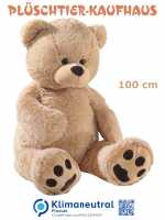 Grosser Teddyb&auml;r beige 100cm